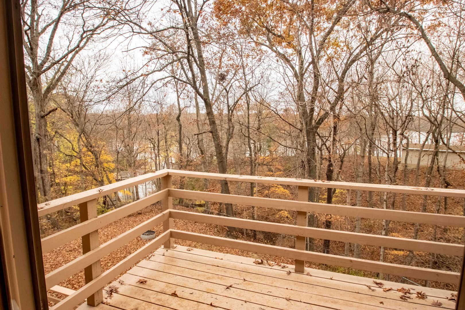 1139 Lakeridge Road Danville, IL 61832 - Photo 38 of 39