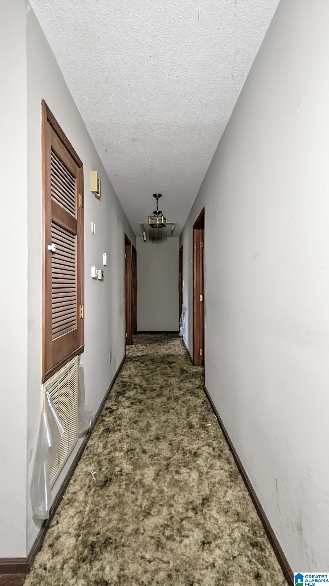 367 Lovely Lane Remlap, AL 35133 - Photo 20 of 42 Gallery Image 20
