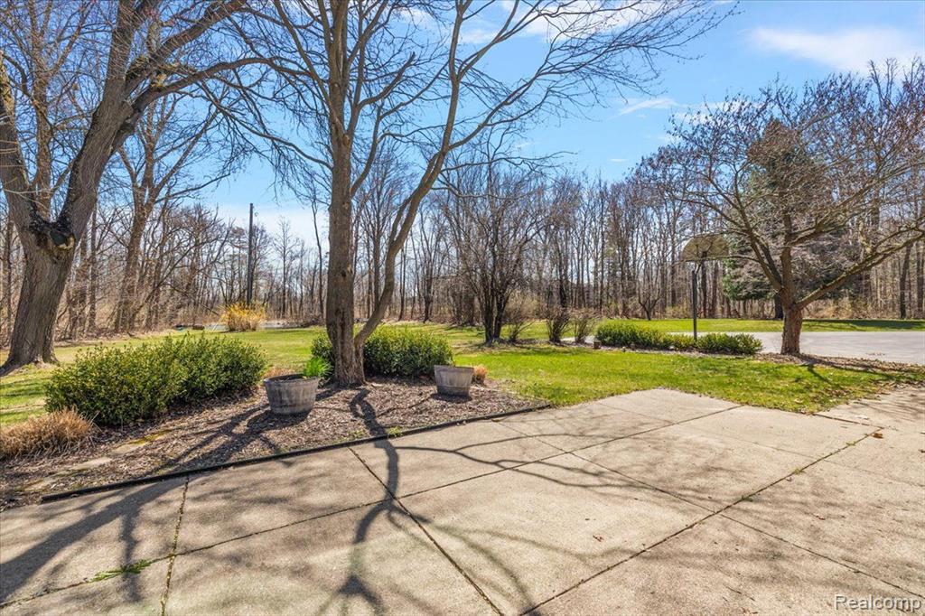 6145 Blue Beech Road Rochester Hills, MI 48306 - Photo 49 of 55