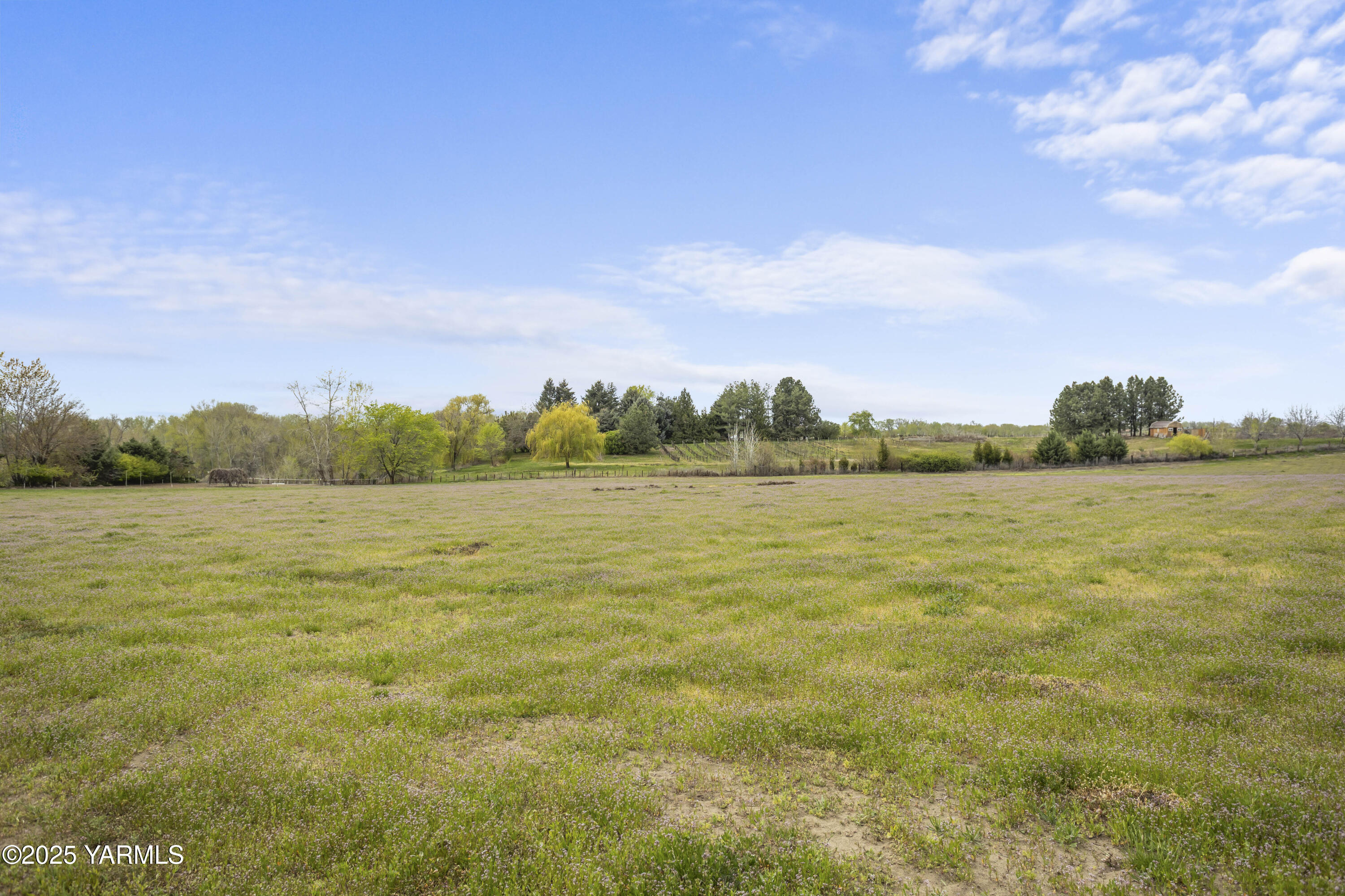 1202 Hudson Road Zillah, WA 98953 - Photo 44 of 58 1202 W Hudson Rd 4.10.25 56