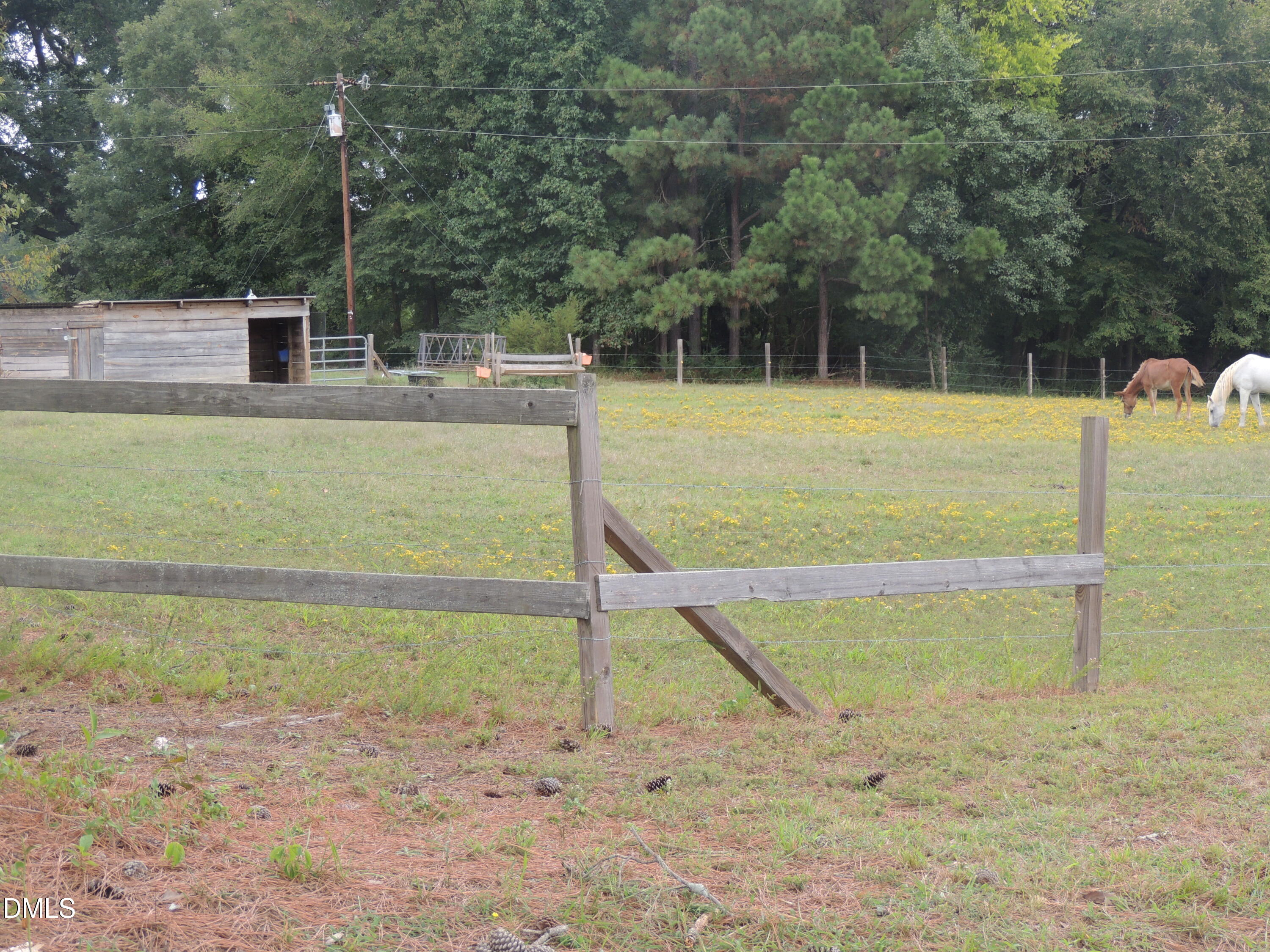 1353 Beasley Road Louisburg, NC 27549 - Photo 7 of 10 View of the lot from the left corner.