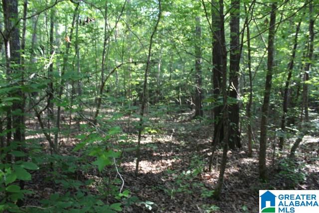 1 Benefield Gap Road Attalla, AL 35954 - Photo 36 of 50