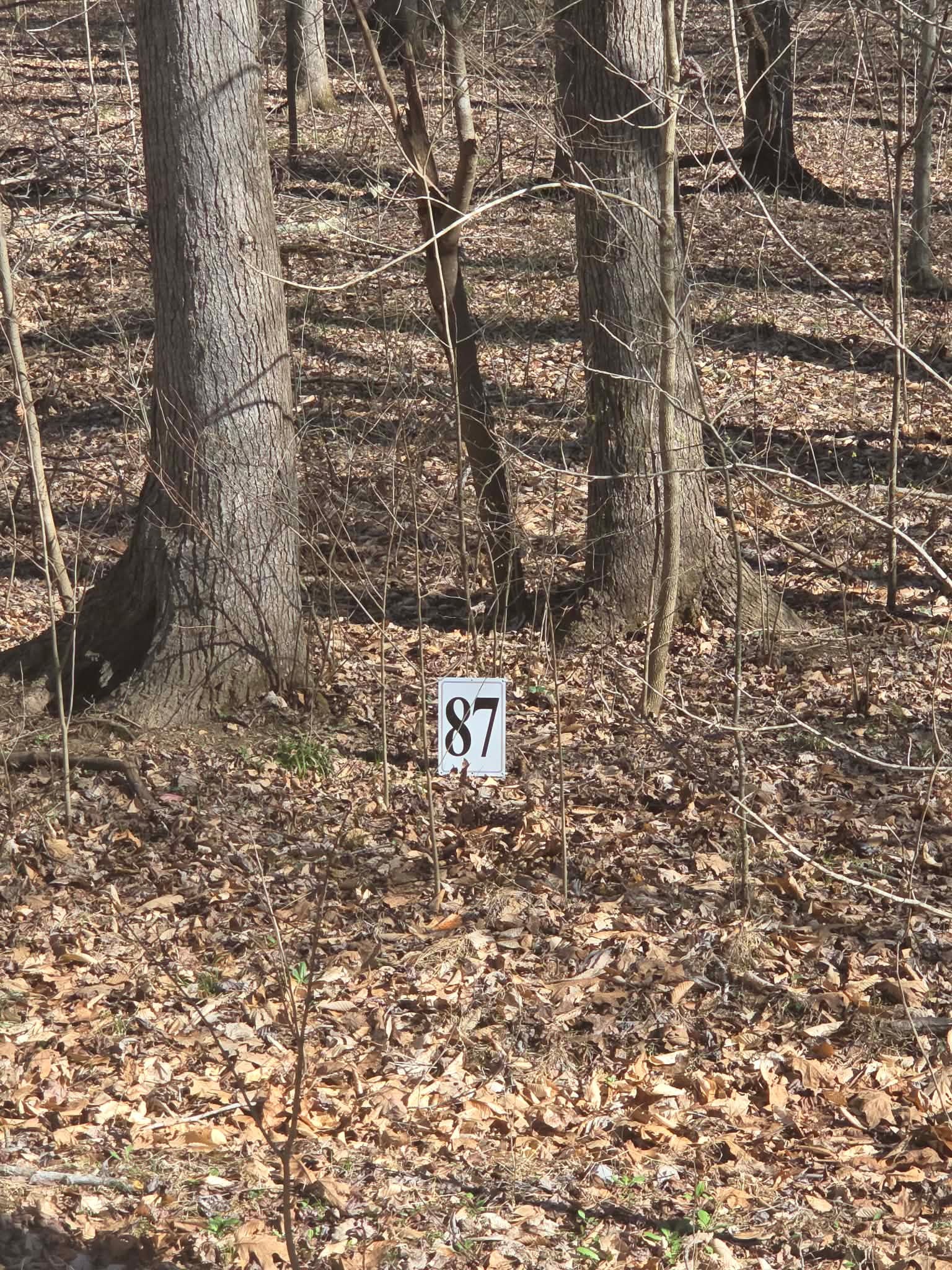 0 Periwinkle Hill Road Cadiz, KY 42211 - Photo 2 of 8