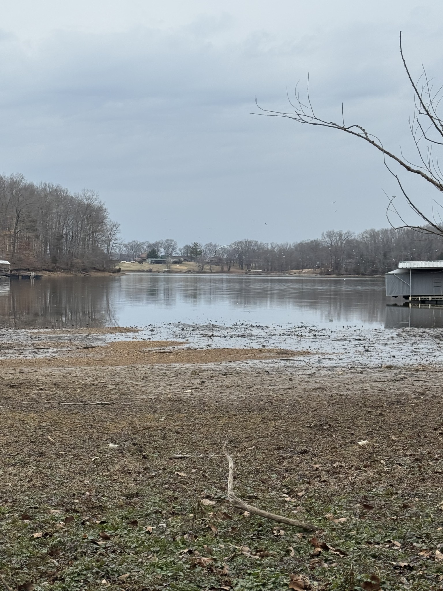 0 Periwinkle Hill Road Cadiz, KY 42211 - Photo 5 of 12