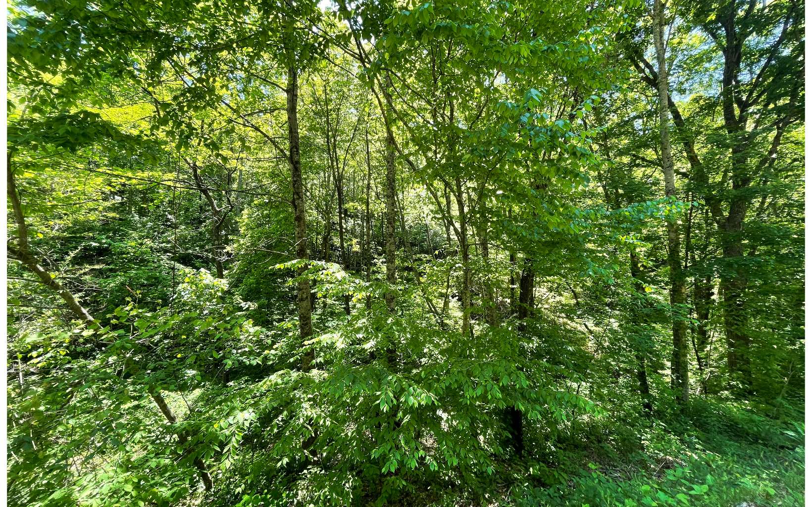 Lot 2 Old Fain Road Murphy, NC 28906 - Photo 7 of 15 Additional View