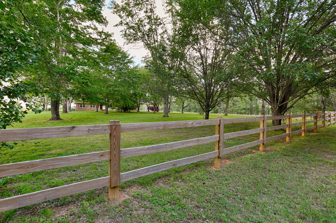 52 Power Station Road Taft, TN 38488 - Photo 6 of 30 a view of park with plants and trees