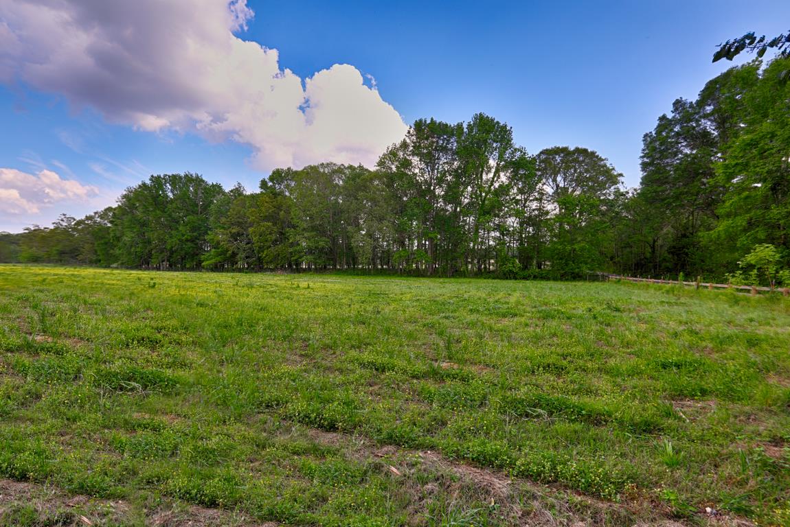 52 Power Station Road Taft, TN 38488 - Photo 8 of 30 a view of a field of grass and trees