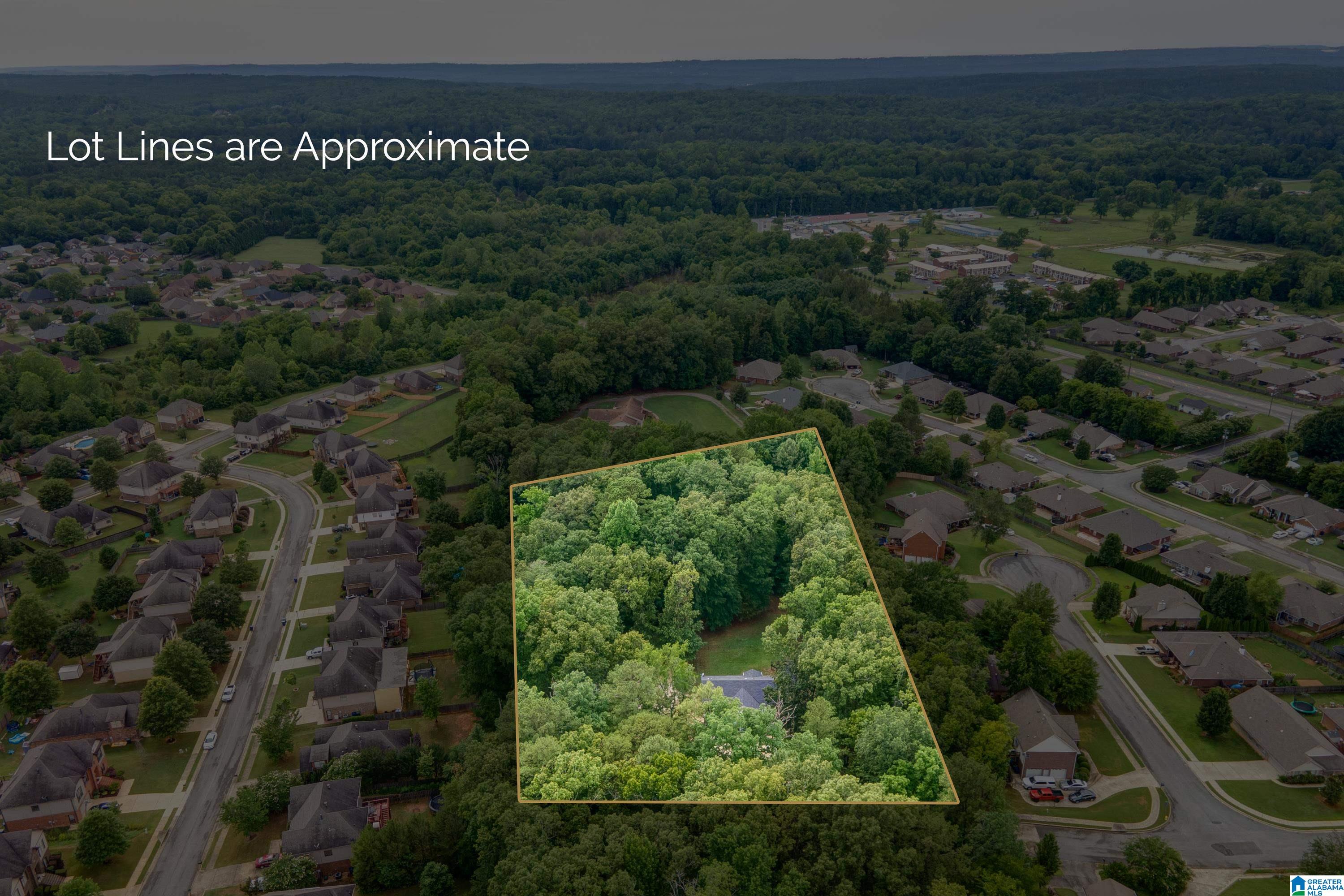 397 Cedar Lane Alabaster, AL 35114 - Photo 46 of 48