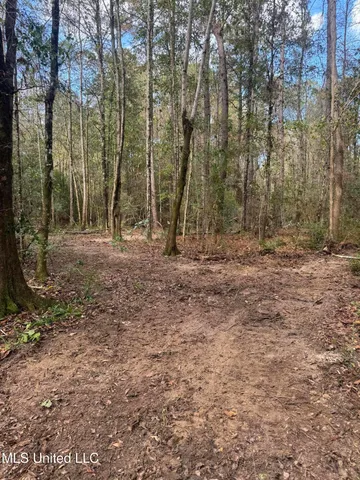 $137,800 | 0 Dupont Harts Chapel Road, Poplarville, MS 39470
