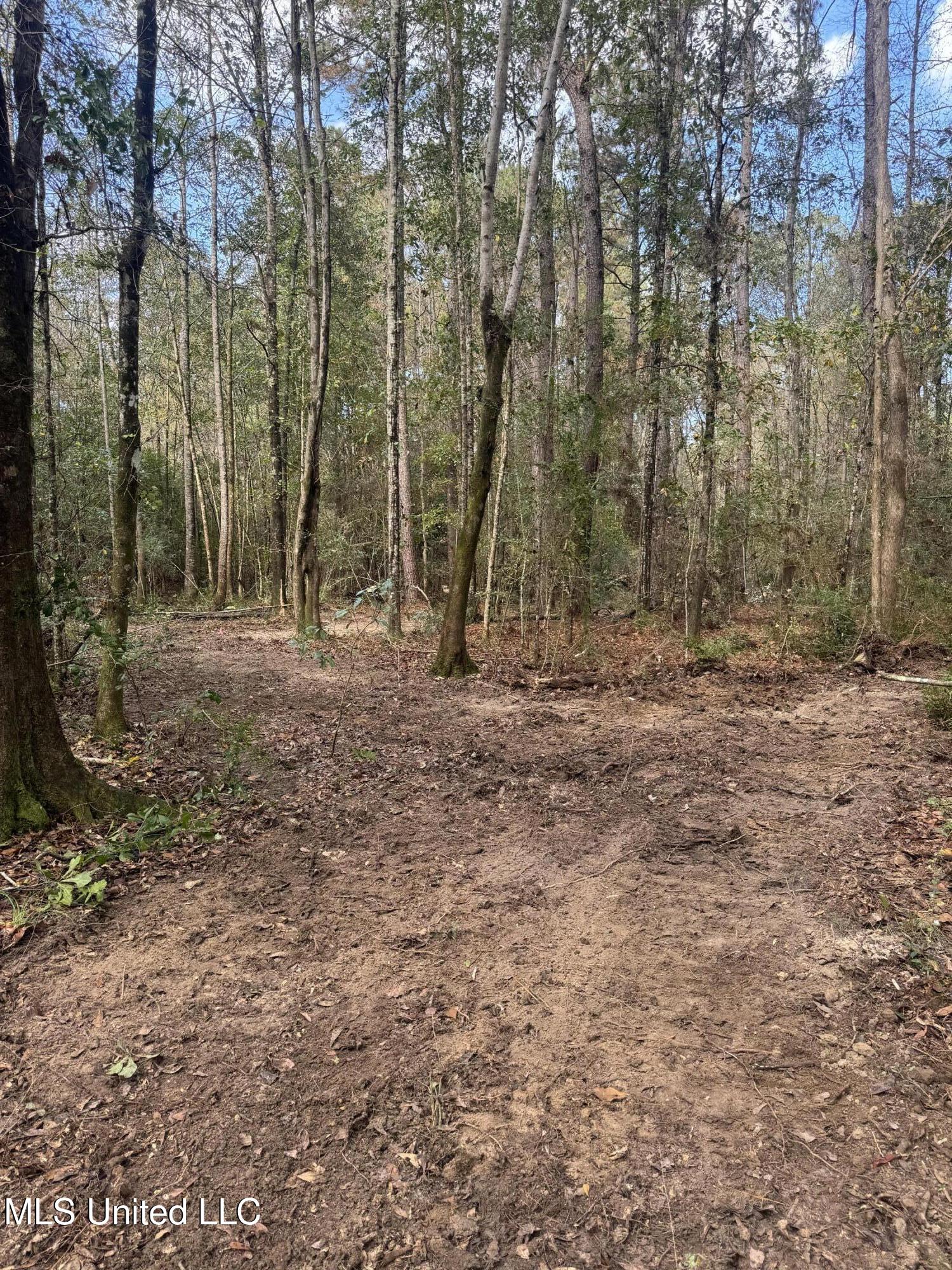 0 Dupont Harts Chapel Road Poplarville, MS 39470 - Photo 11 of 15 IMG_0032