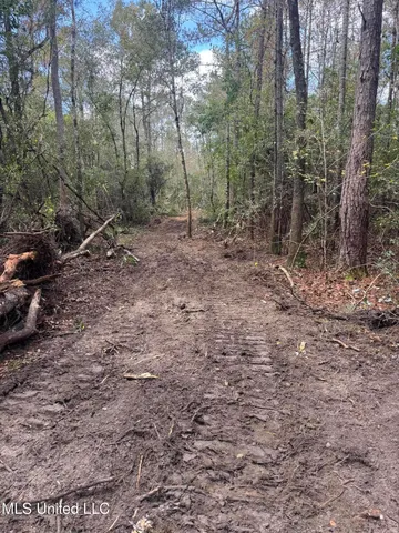 $137,800 | 0 Dupont Harts Chapel Road, Poplarville, MS 39470