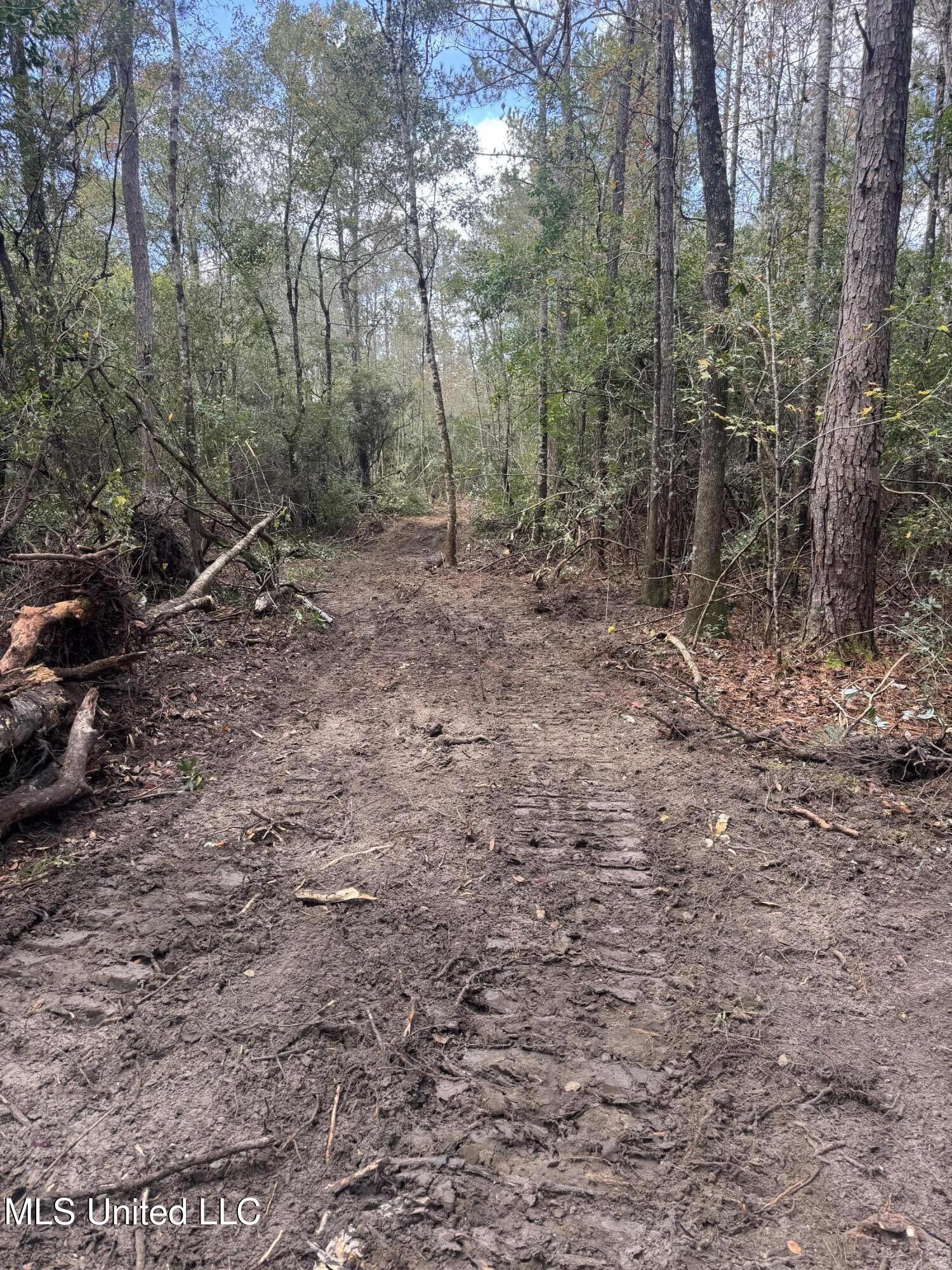 0 Dupont Harts Chapel Road Poplarville, MS 39470 - Photo 12 of 15 IMG_0035