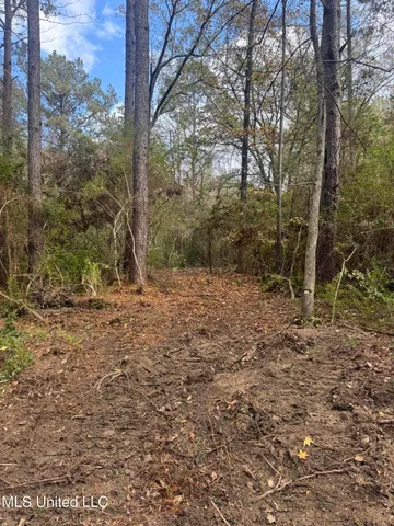$137,800 | 0 Dupont Harts Chapel Road, Poplarville, MS 39470