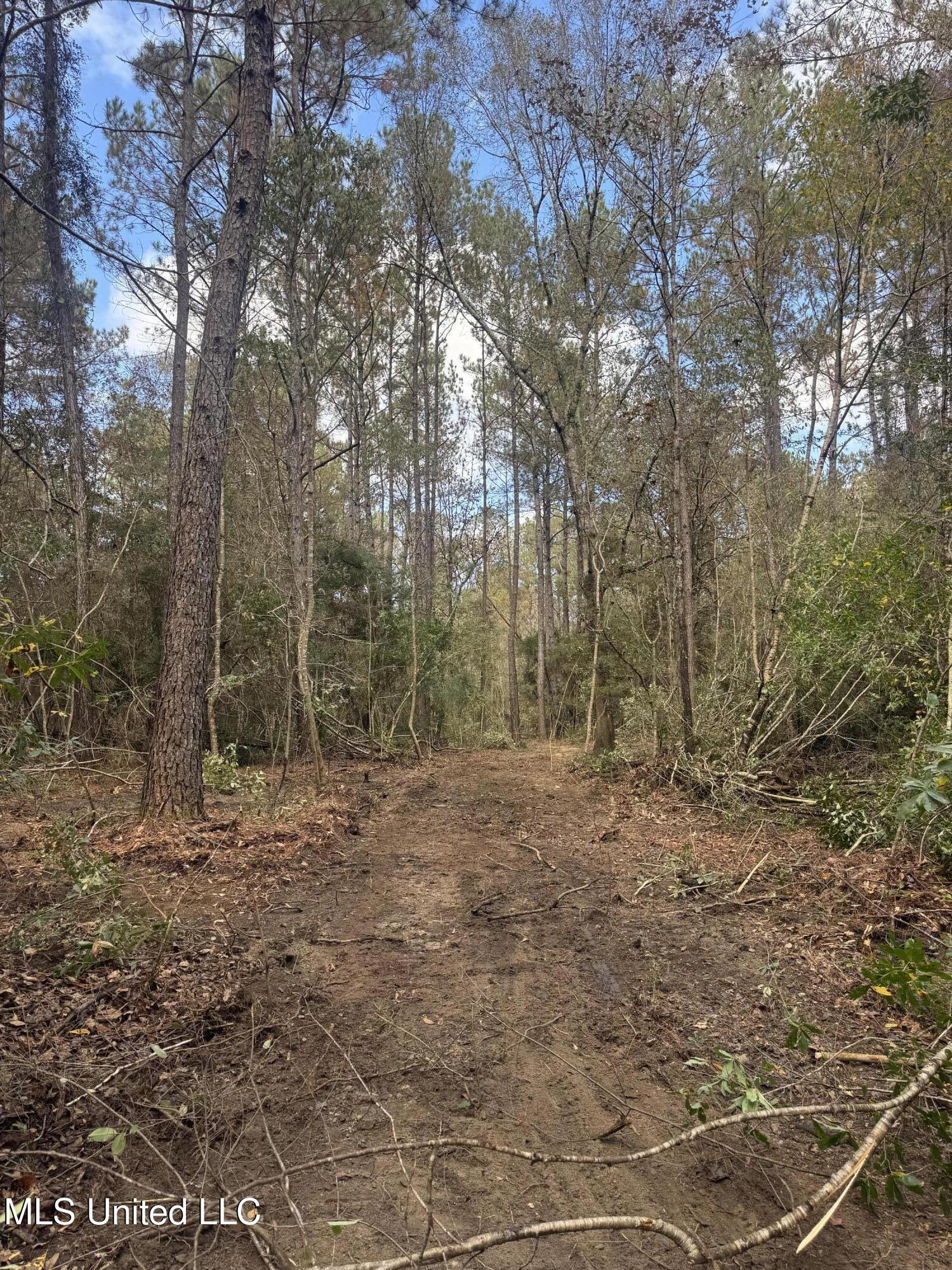 0 Dupont Harts Chapel Road Poplarville, MS 39470 - Photo 14 of 15 IMG_0034
