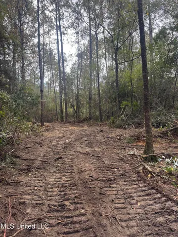 $137,800 | 0 Dupont Harts Chapel Road, Poplarville, MS 39470