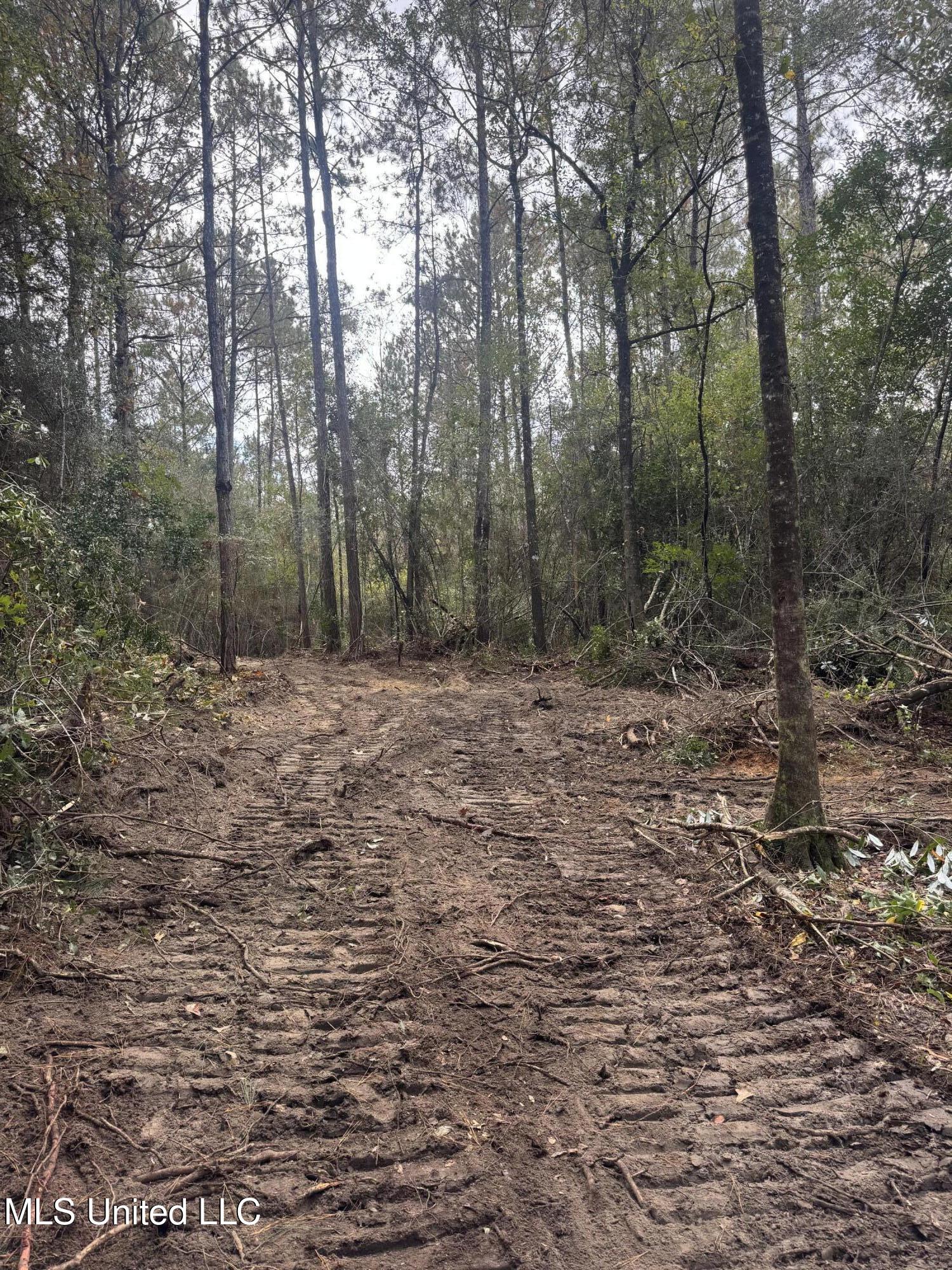 0 Dupont Harts Chapel Road Poplarville, MS 39470 - Photo 15 of 15 IMG_0036