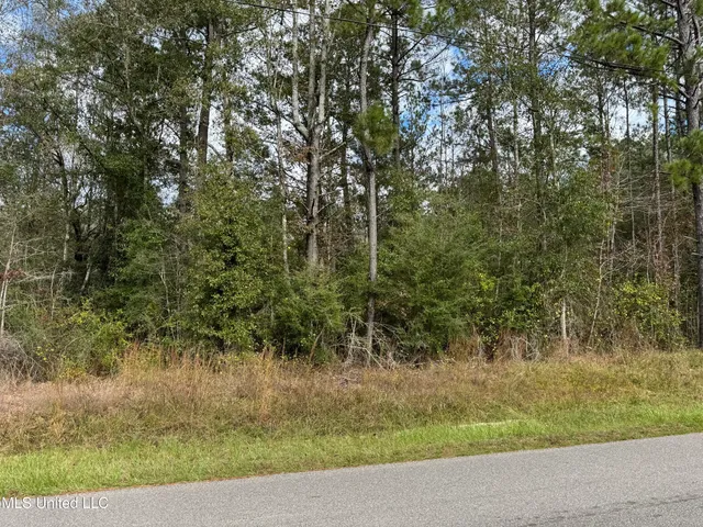 $137,800 | 0 Dupont Harts Chapel Road, Poplarville, MS 39470