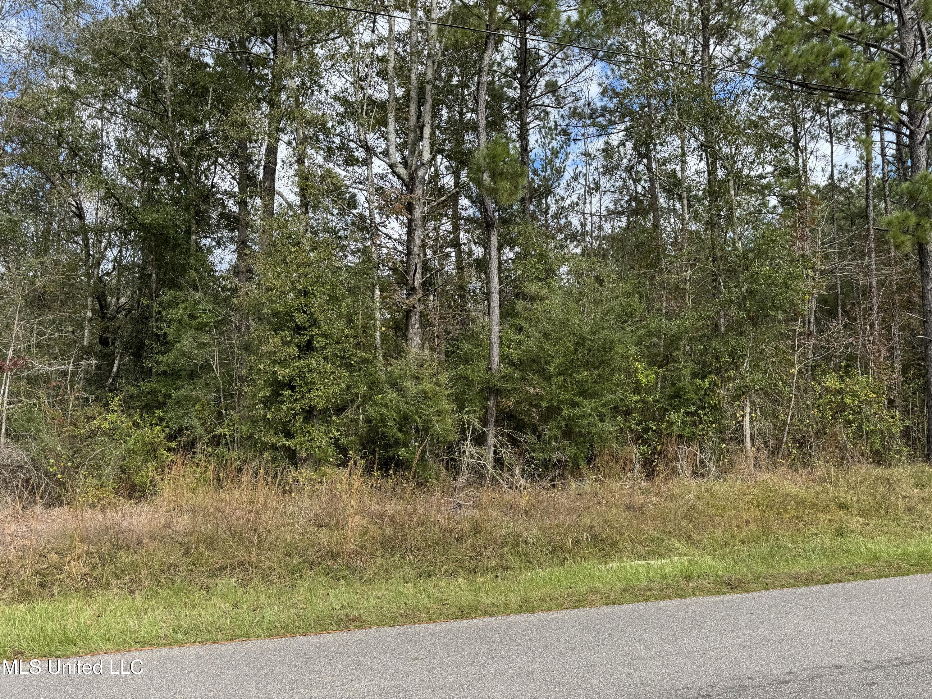 0 Dupont Harts Chapel Road Poplarville, MS 39470 - Photo 2 of 15 IMG_1183