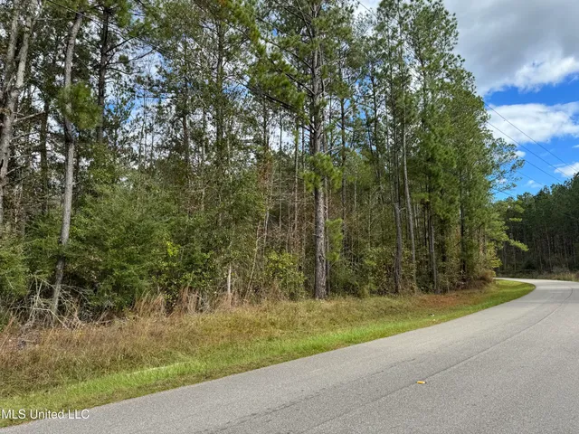 $137,800 | 0 Dupont Harts Chapel Road, Poplarville, MS 39470