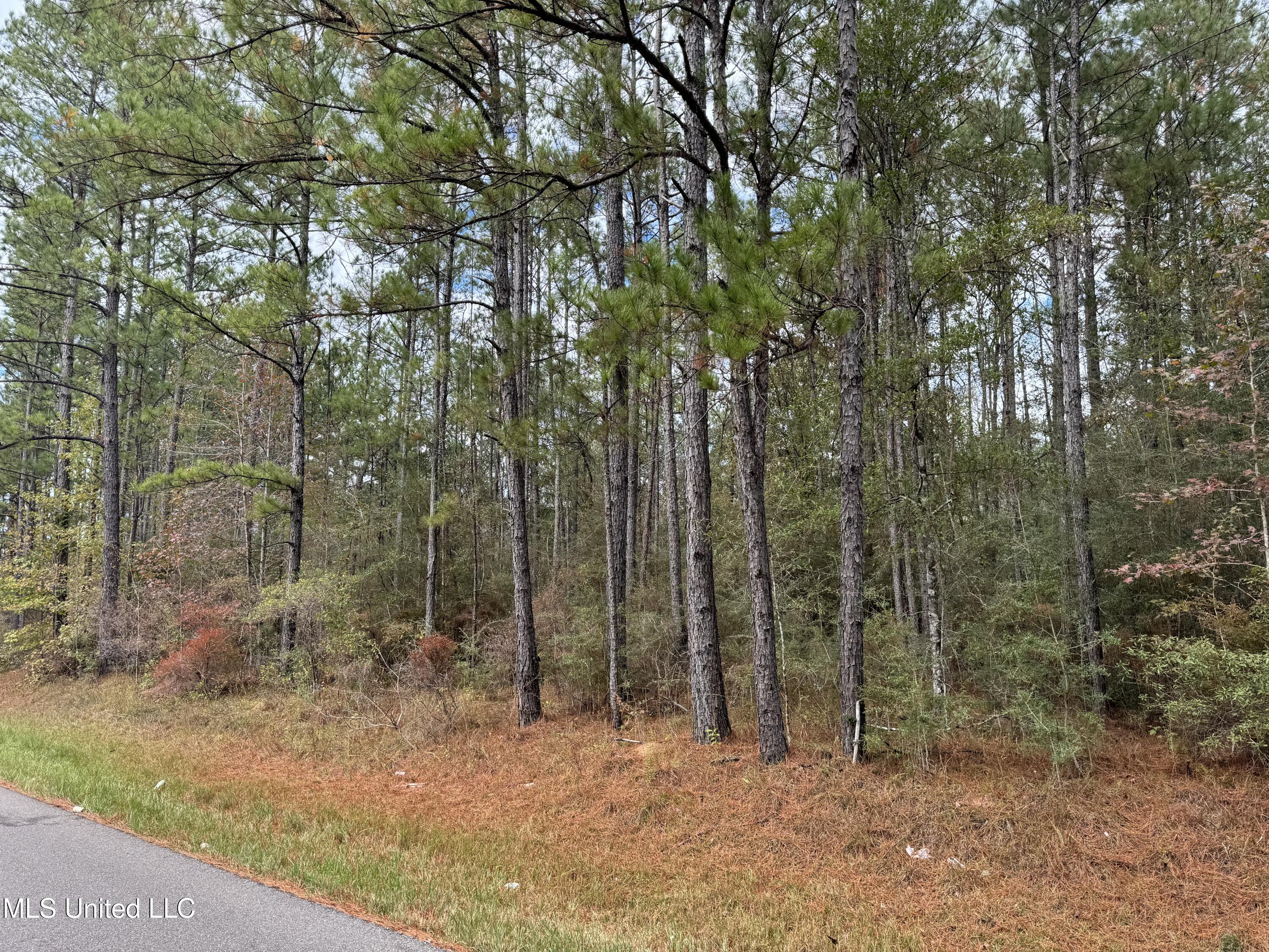 0 Dupont Harts Chapel Road Poplarville, MS 39470 - Photo 4 of 15 IMG_1185