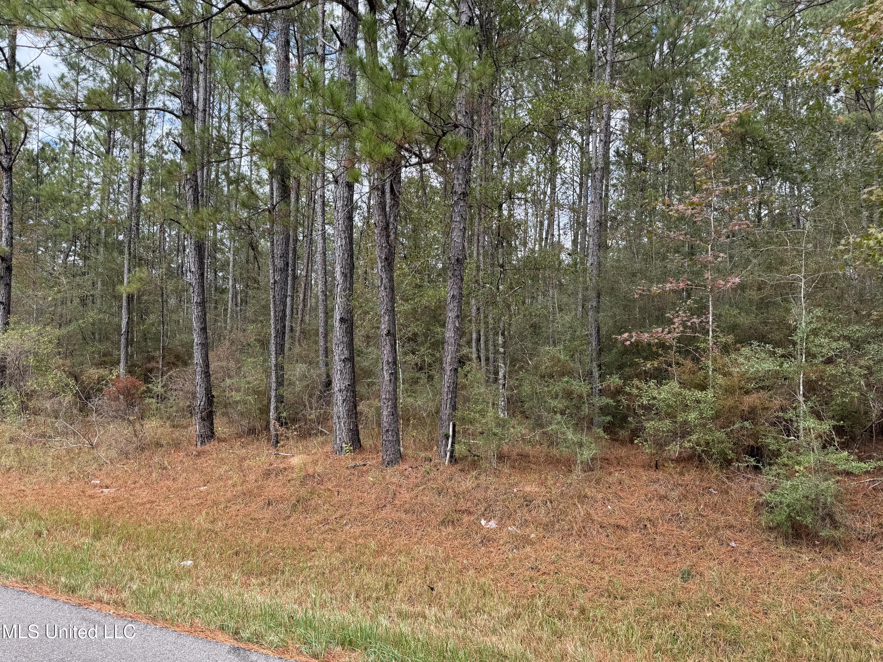 0 Dupont Harts Chapel Road Poplarville, MS 39470 - Photo 6 of 15 IMG_1187