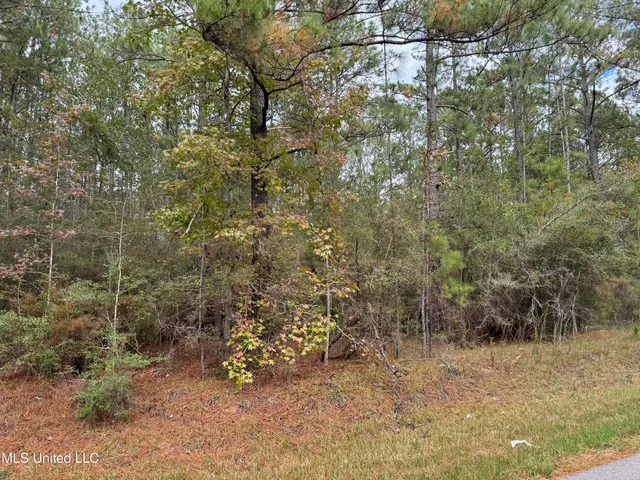 $137,800 | 0 Dupont Harts Chapel Road, Poplarville, MS 39470