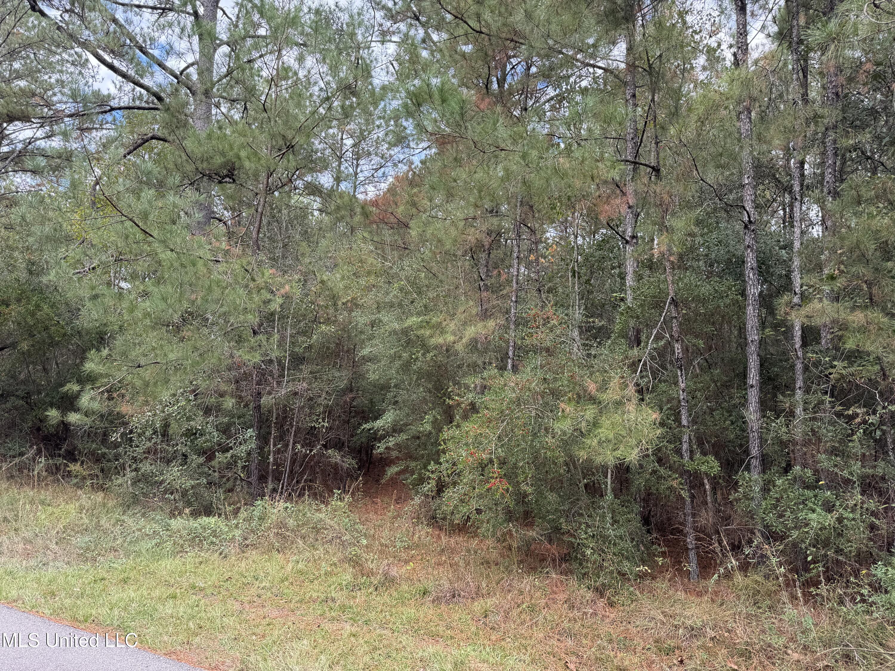 0 Dupont Harts Chapel Road Poplarville, MS 39470 - Photo 8 of 15 IMG_1189