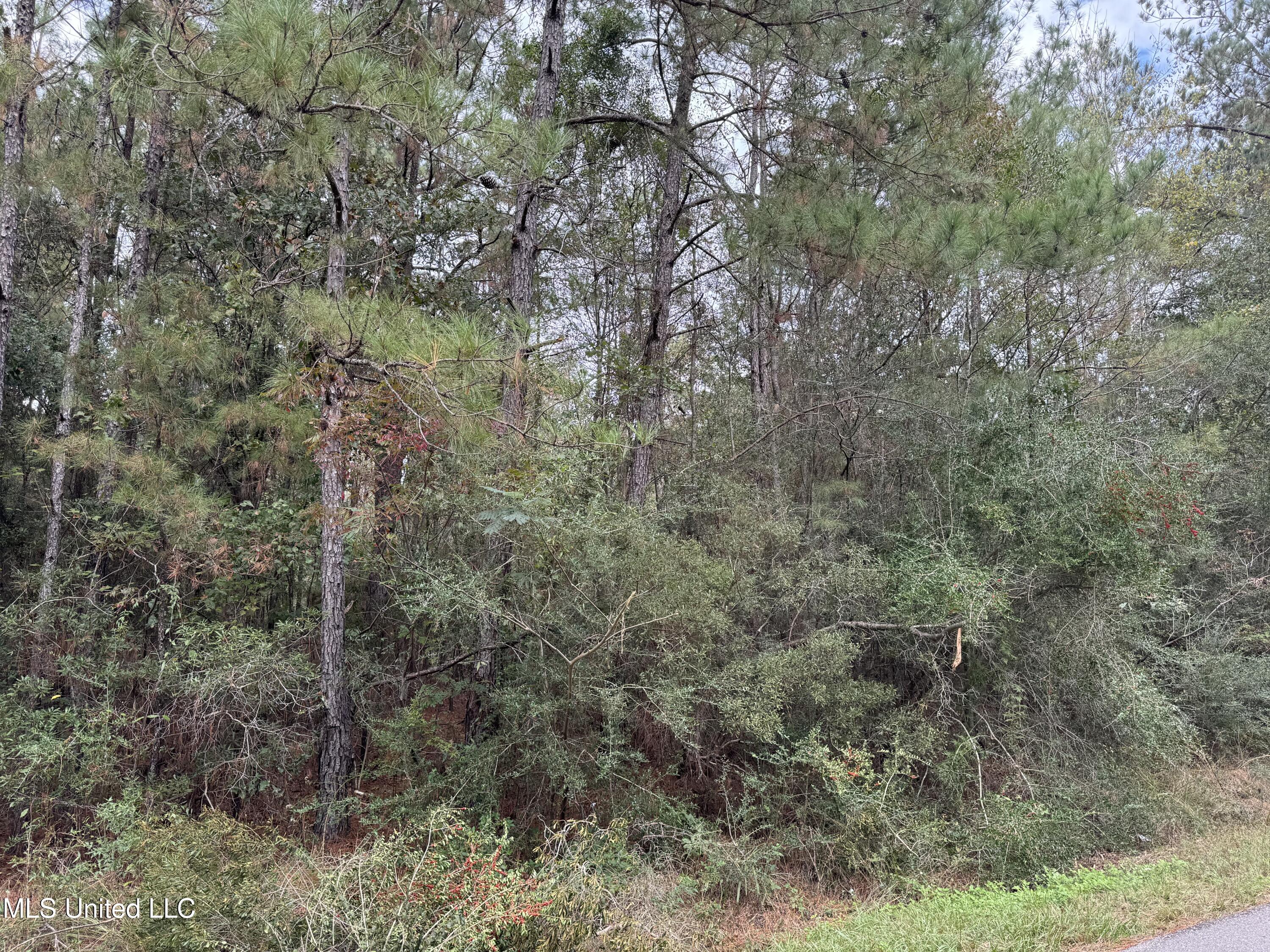 0 Dupont Harts Chapel Road Poplarville, MS 39470 - Photo 9 of 15 IMG_1190