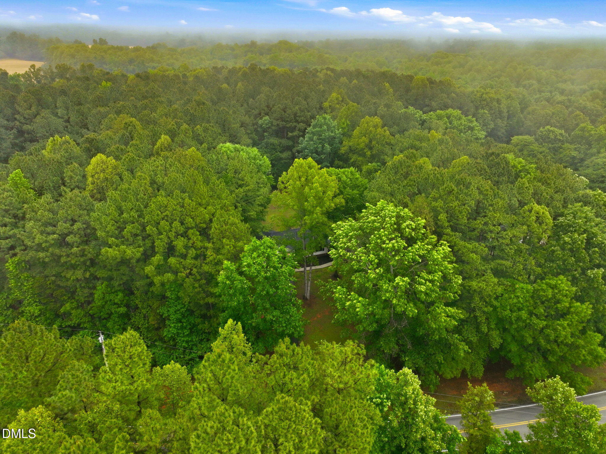 1925 Old Allensville Road Roxboro, NC 27574 - Photo 5 of 58 a view of a green field with lots of bushes
