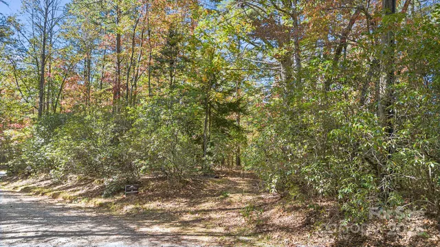 $110,000 | Tbd Breezewood Circle, Unit 17 & 18, Pisgah Forest, NC 28768