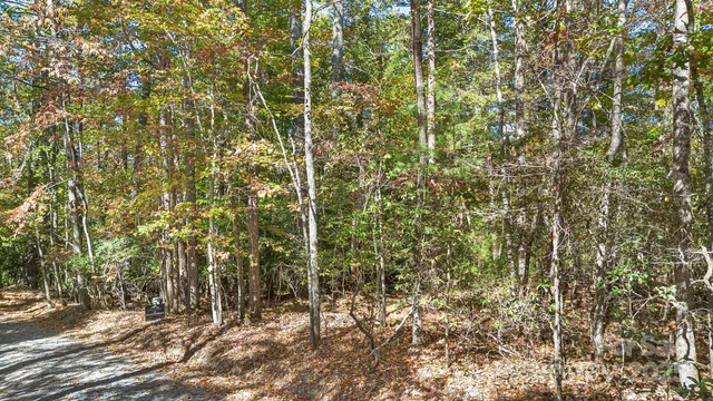 $110,000 | Tbd Breezewood Circle, Unit 17 & 18, Pisgah Forest, NC 28768