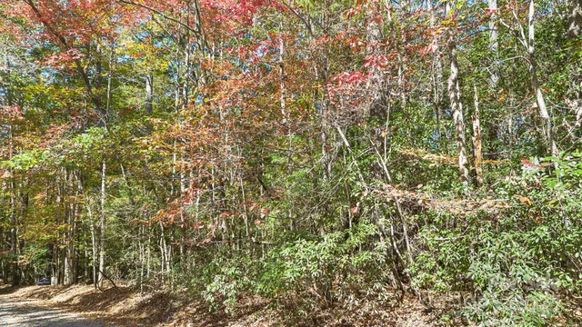 $110,000 | Tbd Breezewood Circle, Unit 17 & 18, Pisgah Forest, NC 28768