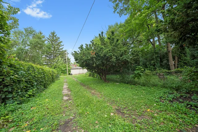 a view of a trees in a yard