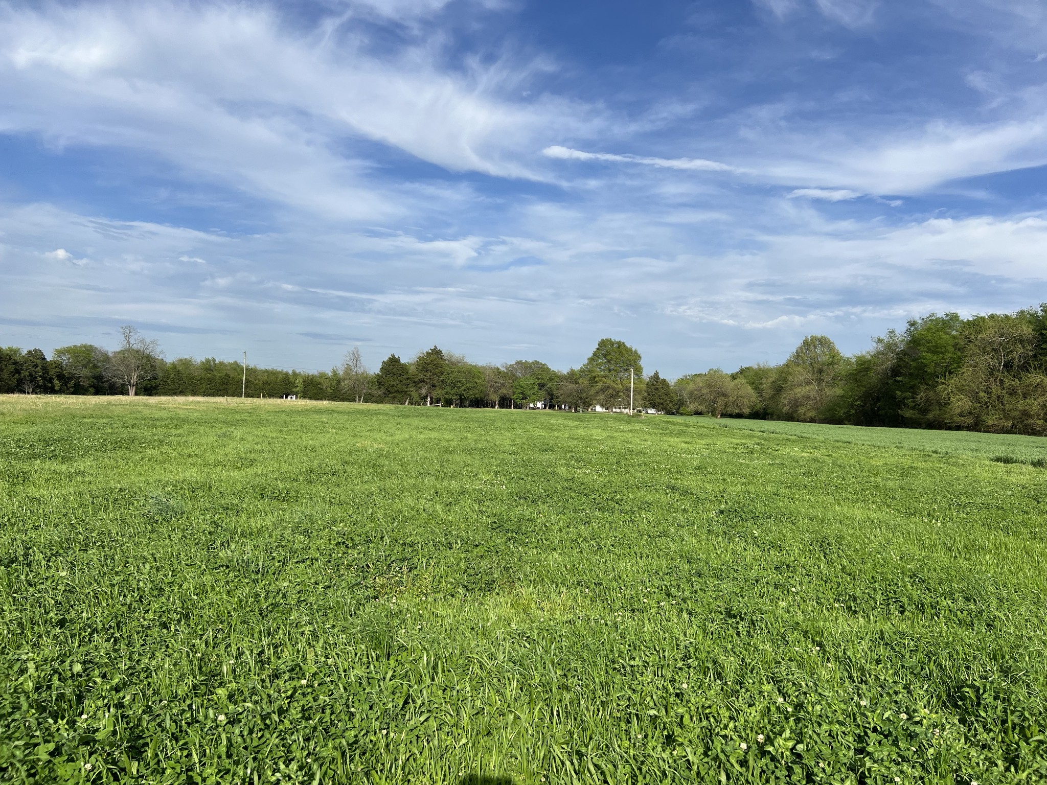 a view of a field with an buildings in the background