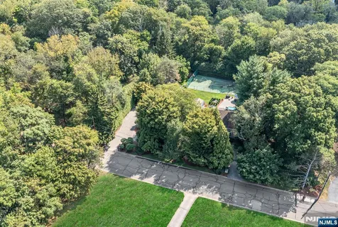a view of a yard with plants