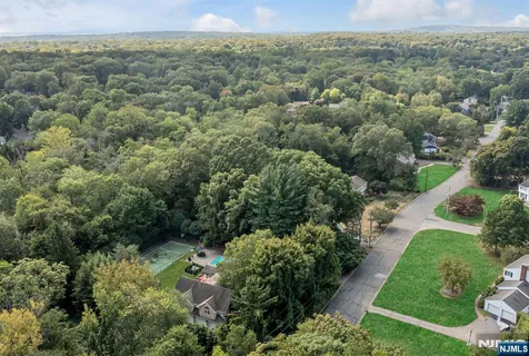 an aerial view of residential houses with outdoor space and trees