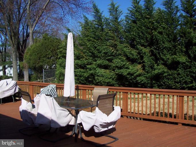 4103 Weller Road Silver Spring, MD 20906 - Photo 5 of 21 Back yard