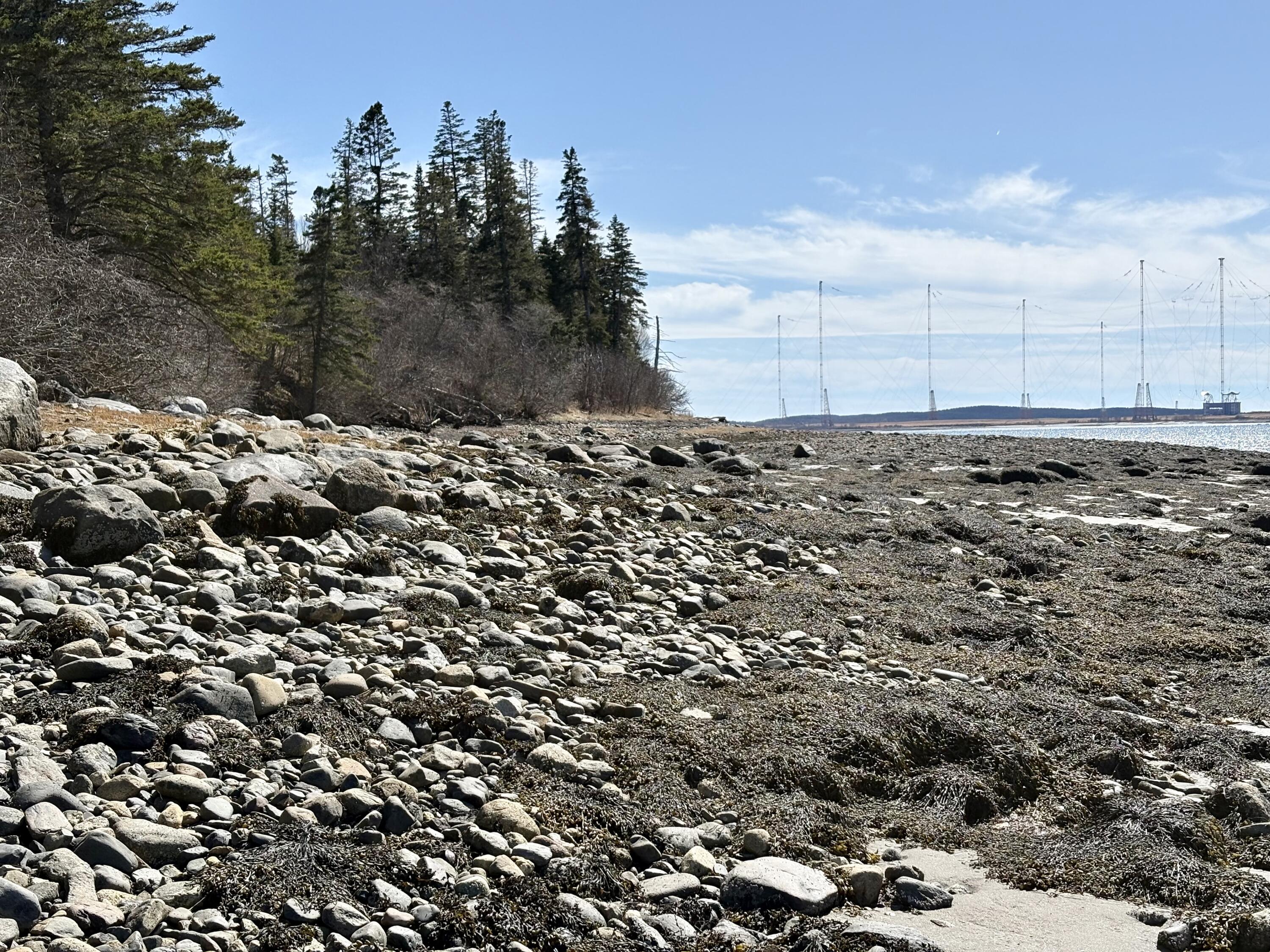 99 Little Machias Road Cutler, ME 04626 - Photo 12 of 82 IMG_2447