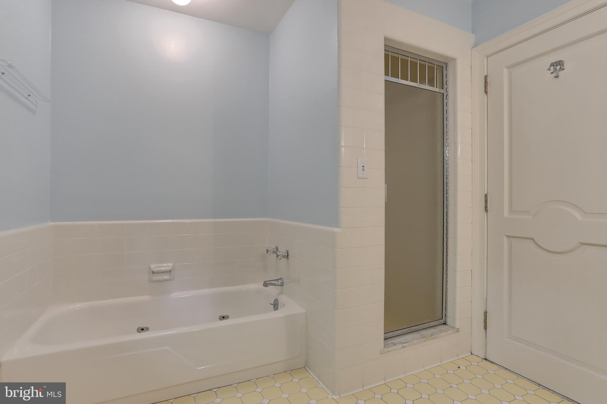 88 Laurel Ridge Road Hershey, PA 17033 - Photo 33 of 44 Main bath