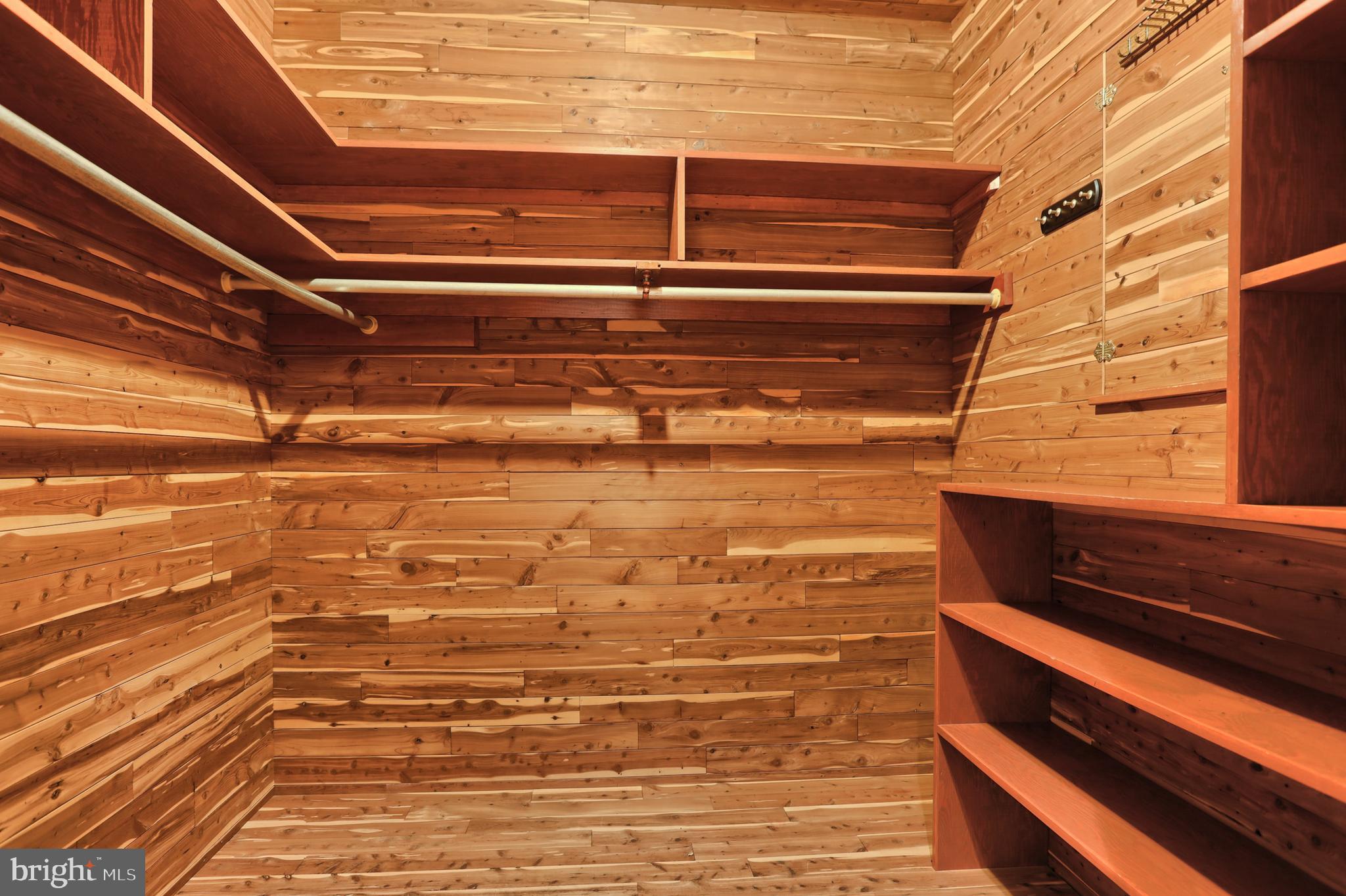 88 Laurel Ridge Road Hershey, PA 17033 - Photo 35 of 44 Walk-in cedar closet & 2 additional closets