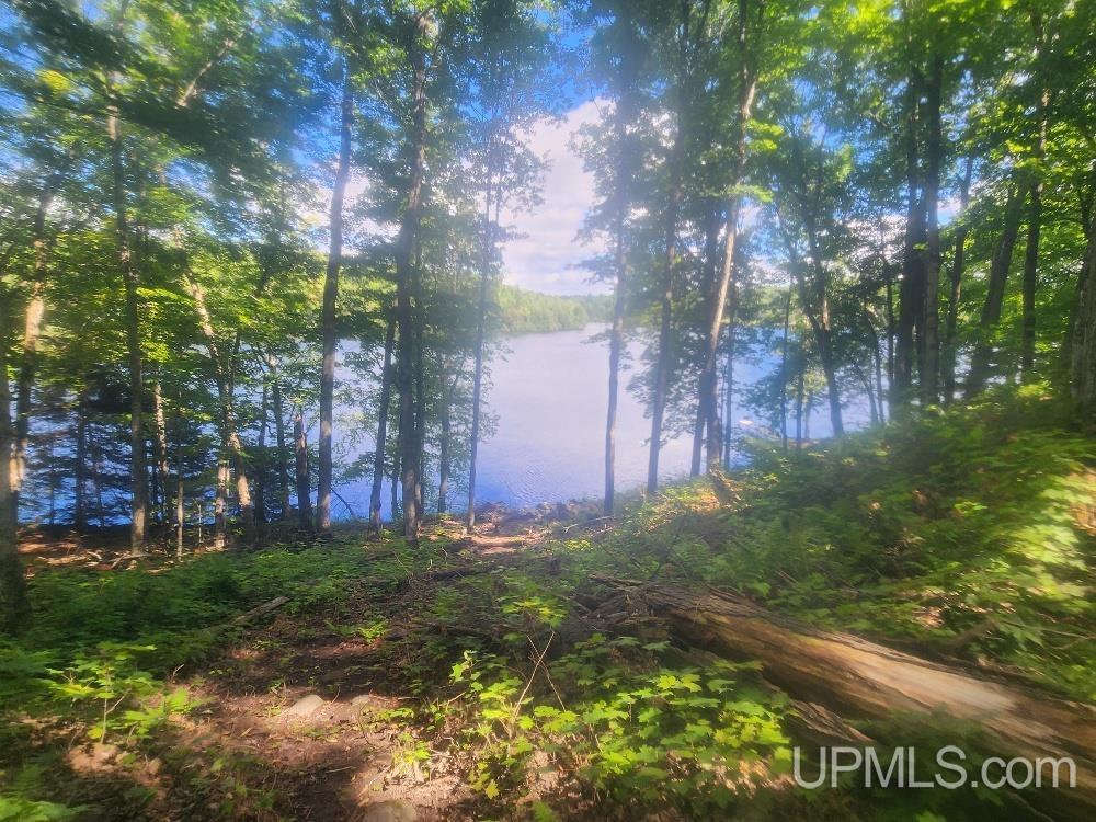 Tbd West Tamarack Lake Road, Unit LOT 5 Watersmeet, MI 49969 - Photo 41 of 66
