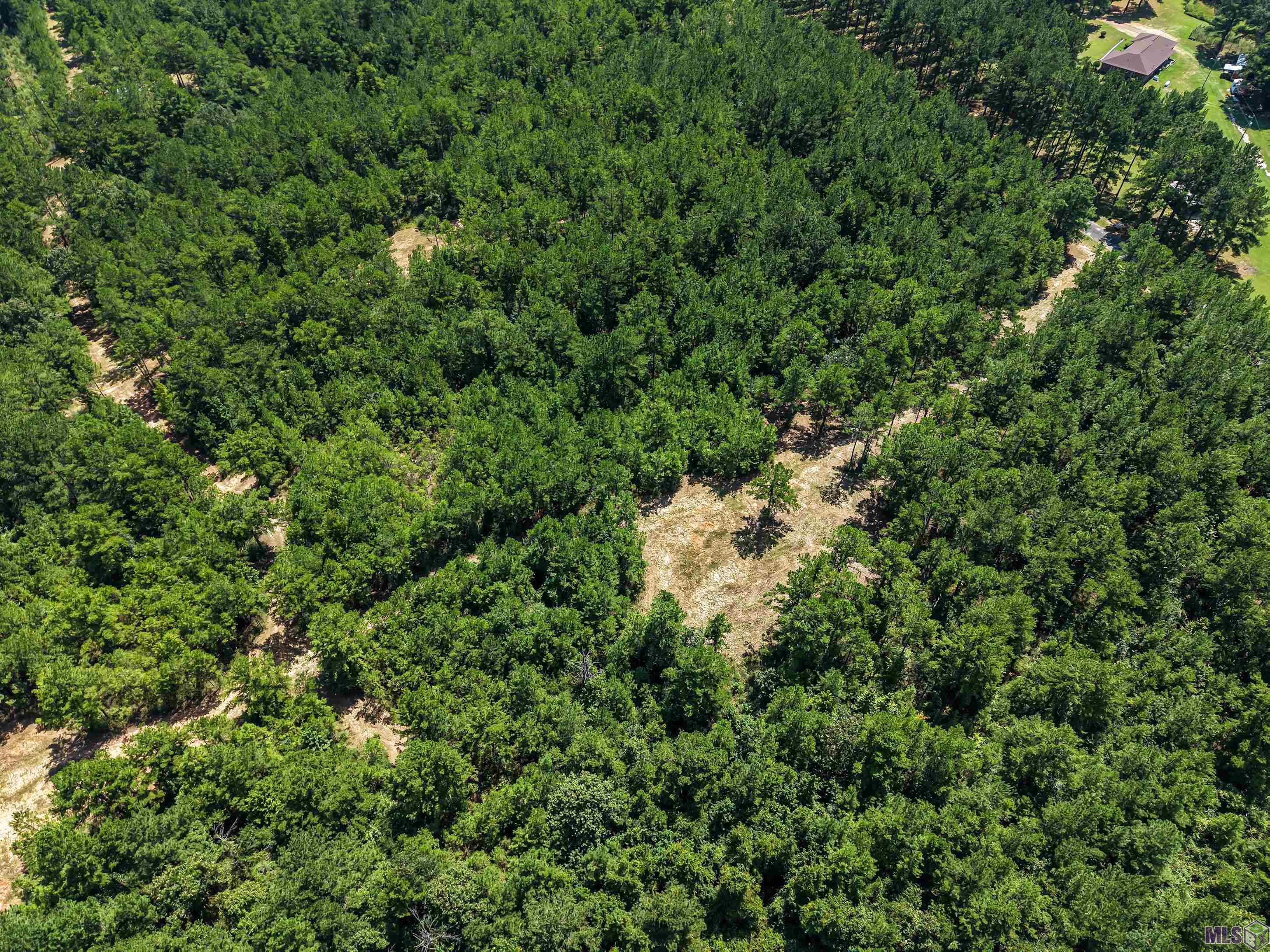 Tbd Jerusalem Road Liberty, MS 39645 - Photo 49 of 60 Gallery Image 49
