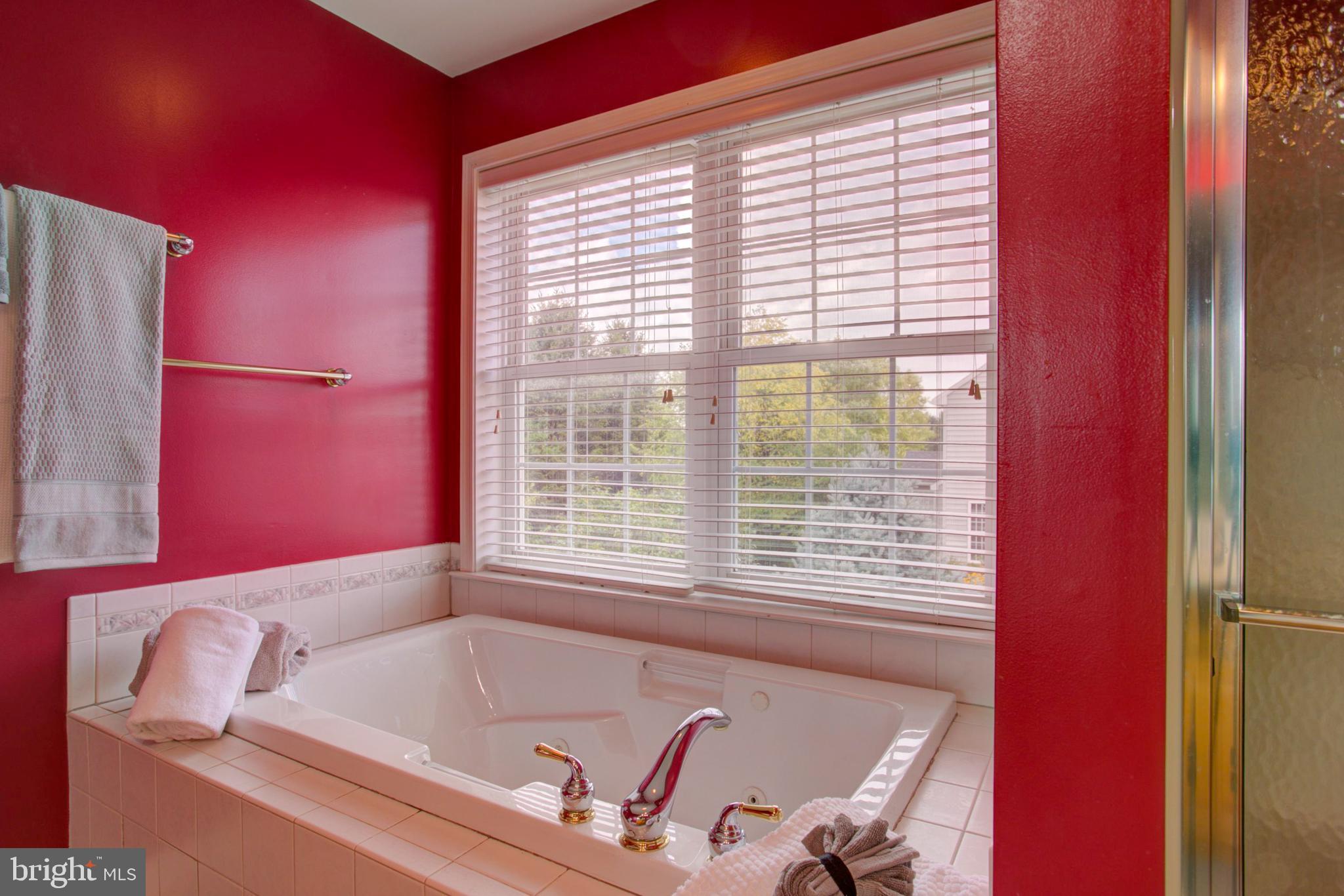 324 Bloomfield Drive Lititz, PA 17543 - Photo 21 of 27 Owner's bath