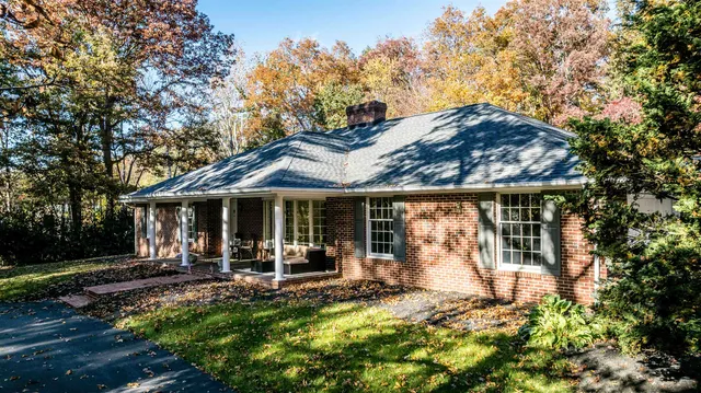 a view of a lush green forest with lots of trees