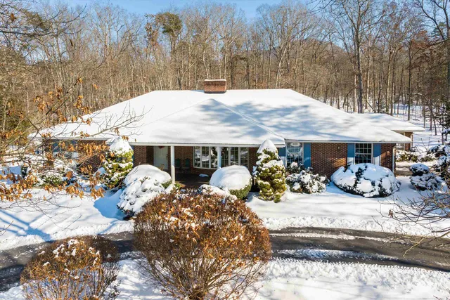 a view of a patio with table and chairs potted plants and large tree