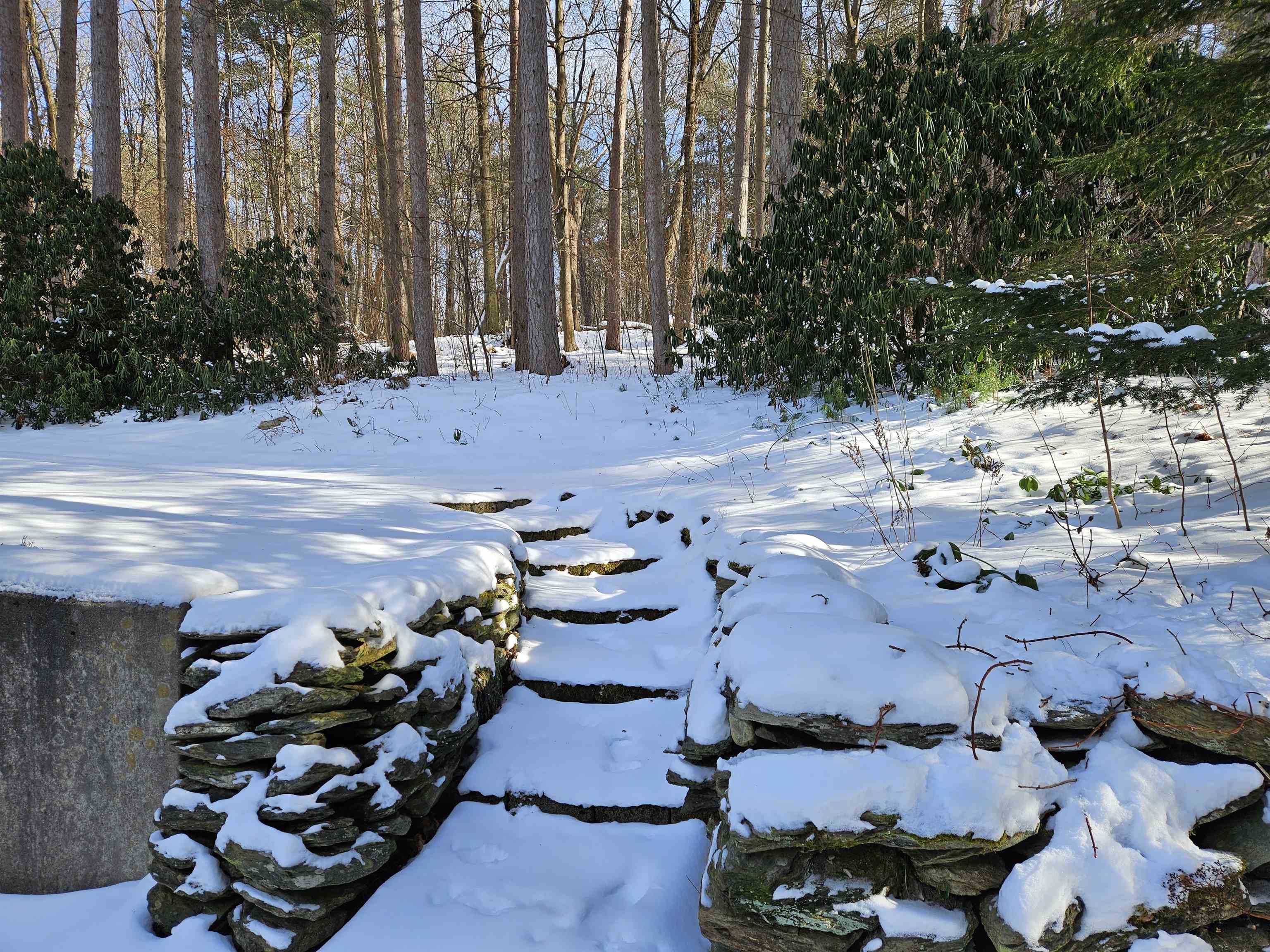 153 Pine Circle Bennington, VT 05201 - Photo 24 of 39