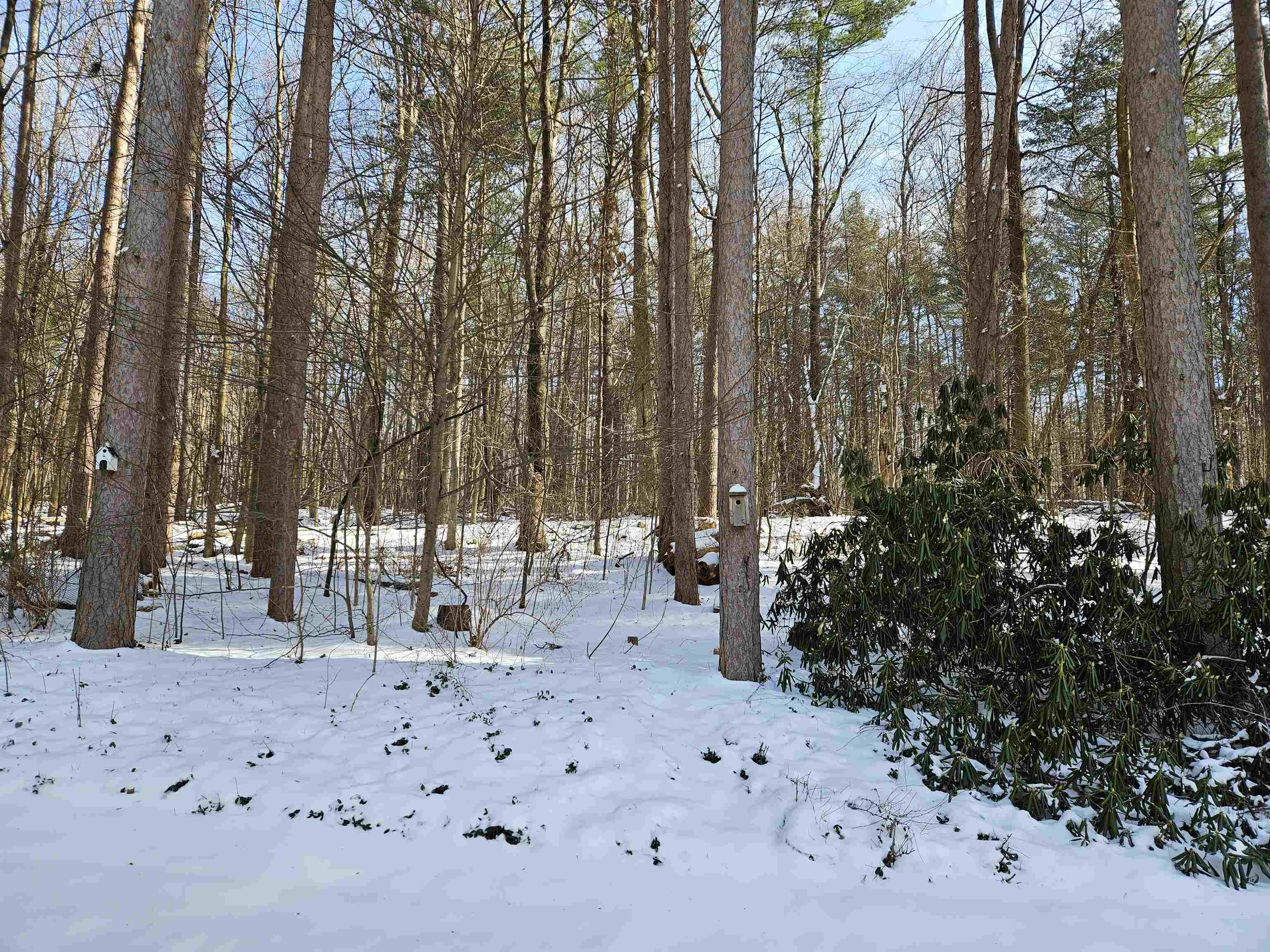 153 Pine Circle Bennington, VT 05201 - Photo 33 of 39