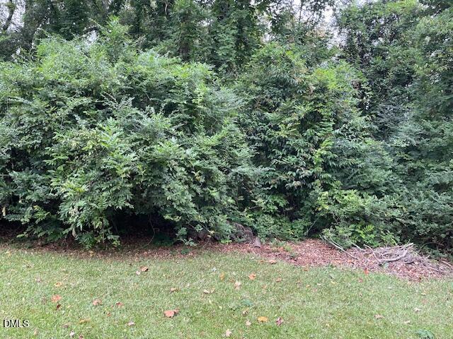 206 Hillsborough Road Carrboro, NC 27510 - Photo 3 of 5 a view of a yard