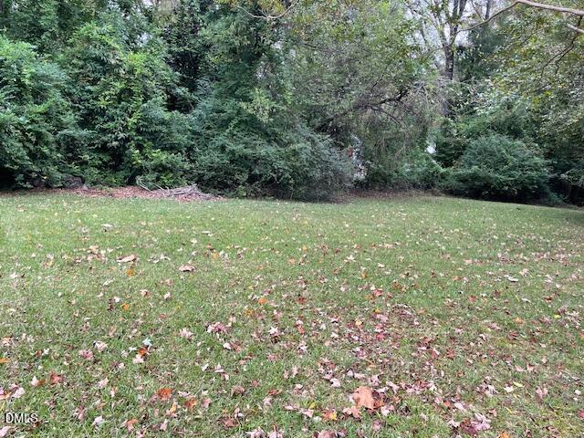206 Hillsborough Road Carrboro, NC 27510 - Photo 4 of 5 a view of a yard with a tree