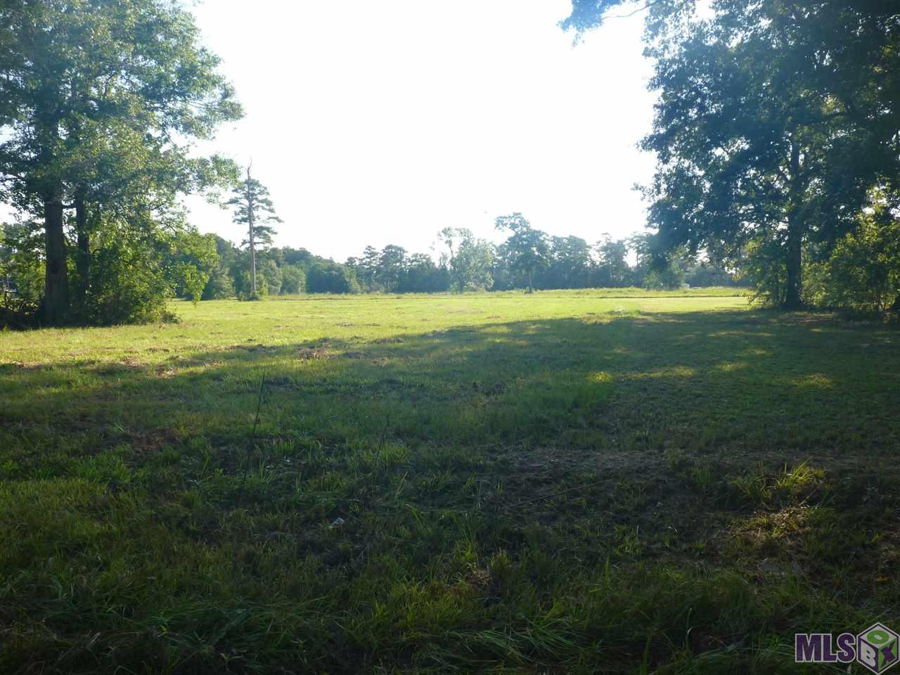 Lot 5 Patricia Street Springfield, LA 70462 - Photo 3 of 4 Gallery Image 3